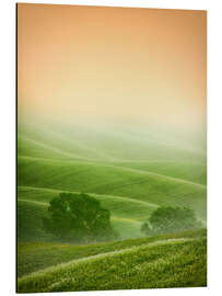 Aluminium print Country Landscapes of Tuscany