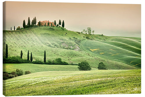 Canvas-taulu Tuscany mist landscape