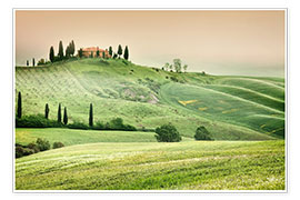 Poster Tuscany mist landscape