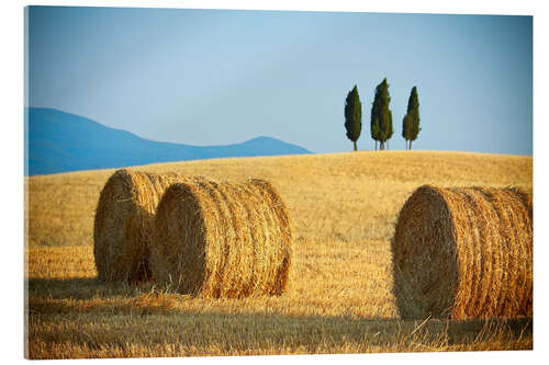 Acrylic print Tuscany landscape with straw bales