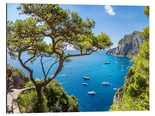 Tableau en aluminium Un superbe été à Capri 