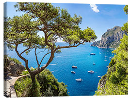 Lærredsbillede  Dejlig sommer på Capri