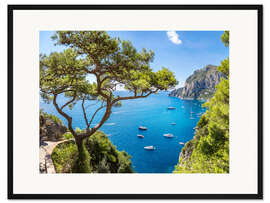 Gerahmter Kunstdruck Schöner Sommer auf Capri