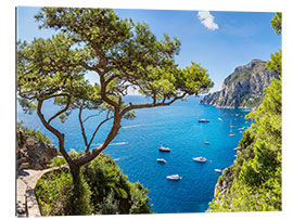 Gallery print Heerlijke zomer op Capri