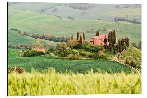 Aluminium print typical Tuscany landscape