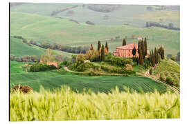 Cuadro de aluminio typical Tuscany landscape