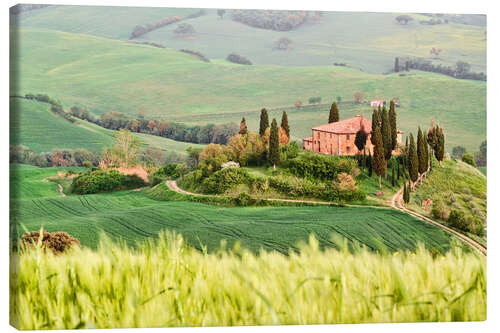 Stampa su tela typical Tuscany landscape