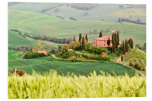 Foam board print typical Tuscany landscape