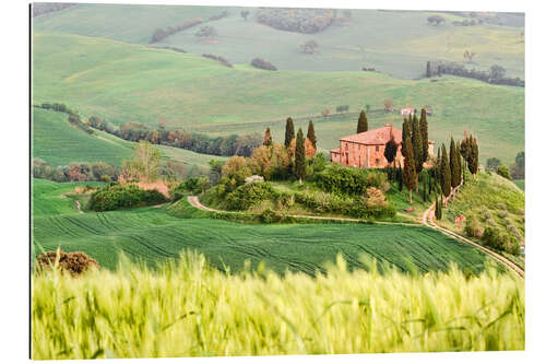 Quadro em plexi-alumínio typical Tuscany landscape