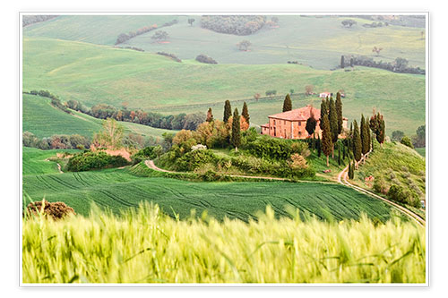 Poster typical Tuscany landscape