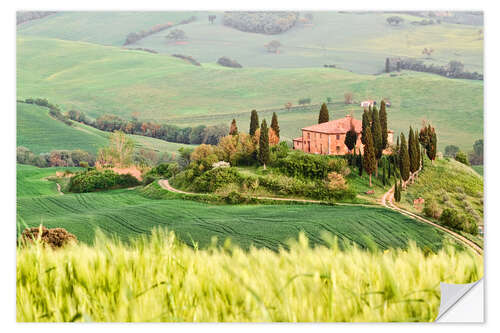 Selvklæbende plakat typical Tuscany landscape