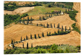 Acrylic print Summer in Tuscany