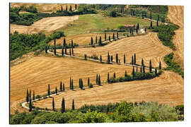 Aluminium print Summer in Tuscany