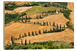 Trebilde Summer in Tuscany