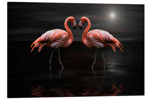 Tableau en aluminium Flamingos at night