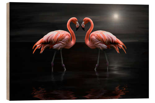 Trebilde Flamingos at night