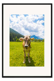 Gerahmter Kunstdruck Junges Kalb auf der Weide