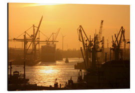 Print på aluminium  Morning light in the Hamburg harbor