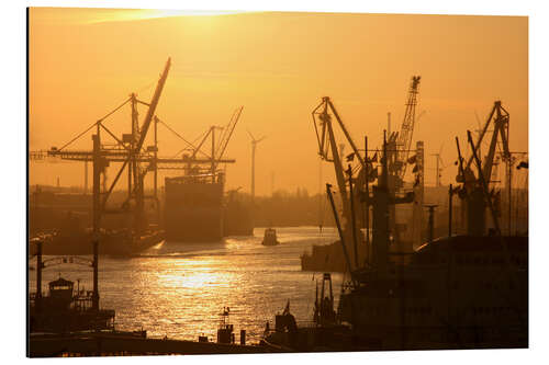 Cuadro de aluminio Morning light in the Hamburg harbor