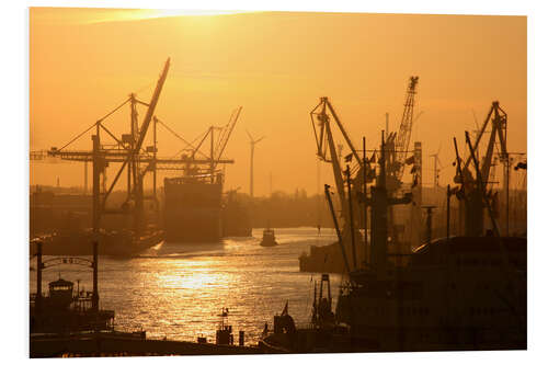 Foam board print Morning light in the Hamburg harbor