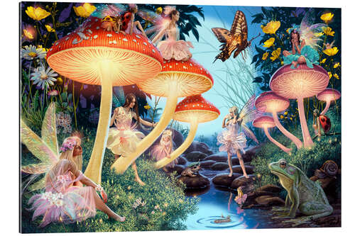 Gallery print Toadstool