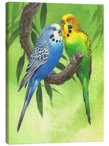 Tableau sur toile 25917 Budgies on Green Background