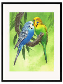 Impression artistique encadrée 25917 Budgies on Green Background