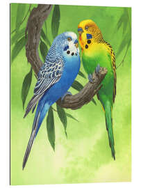 Gallery print Budgies on Green Background