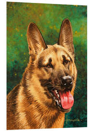 Quadro em PVC German shepherd