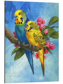 Aluminium print Budgies on Blue Background