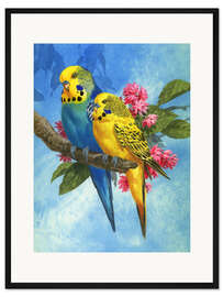 Gerahmter Kunstdruck Wellensittiche auf blauem Hintergrund