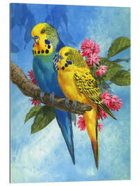 Tableau en plexi-alu 25916 Budgies on Blue Background