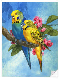 Naklejka na ścianę Budgies on Blue Background