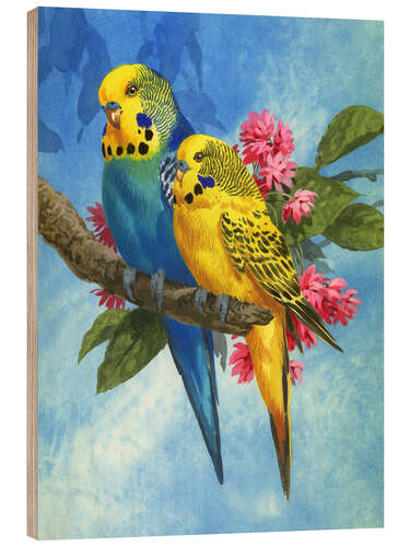 Wood print Budgies on Blue Background