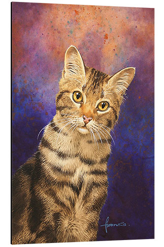 Quadro em alumínio Tabby