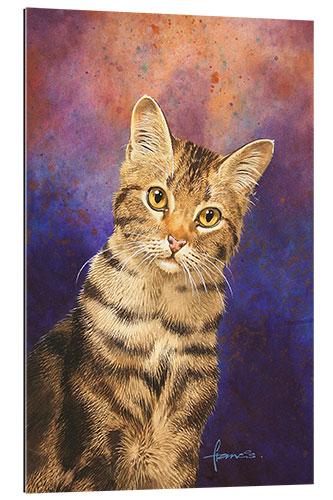 Gallery print Tabby