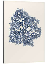 Magnettafel Blaue Koralle