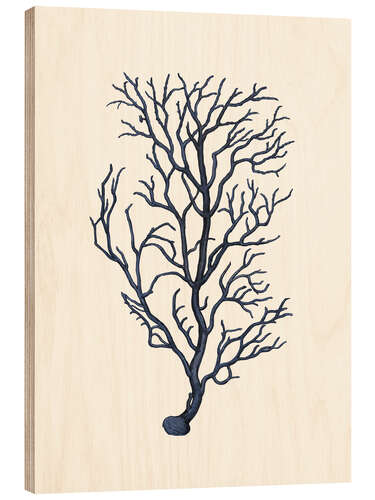 Puutaulu Navy coral, branches