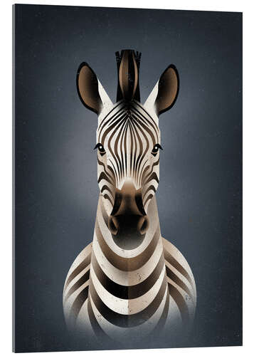 Acrylglasbild Zebra