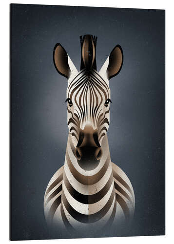 Aluminium print Zebra