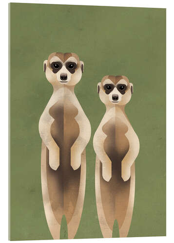 Acrylic print Meerkats