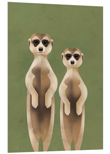 Foam board print Meerkats