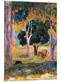 Magnettafel Landschaft mit einem Schwein und einem Pferd (Hiva Oa)