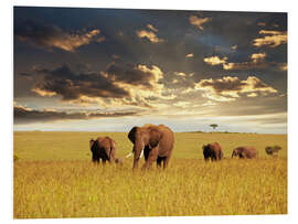 Foam board print Elephants in Africa