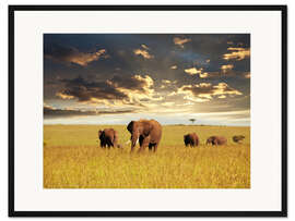 Gerahmter Kunstdruck Elefantenherde in Afrika