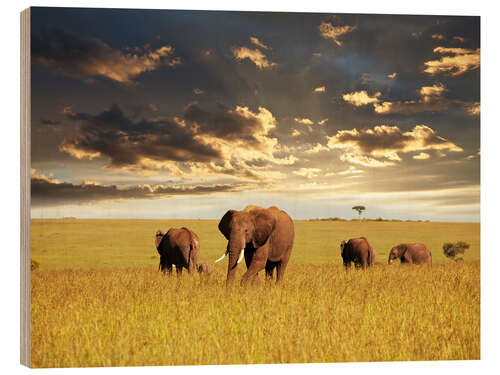 Wood print Elephants in Africa