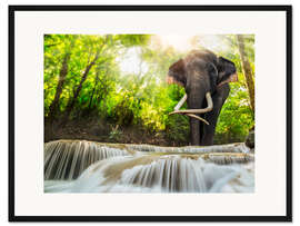 Gerahmter Kunstdruck Asiatischer Elefant