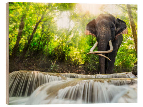 Wood print Asian Elephant