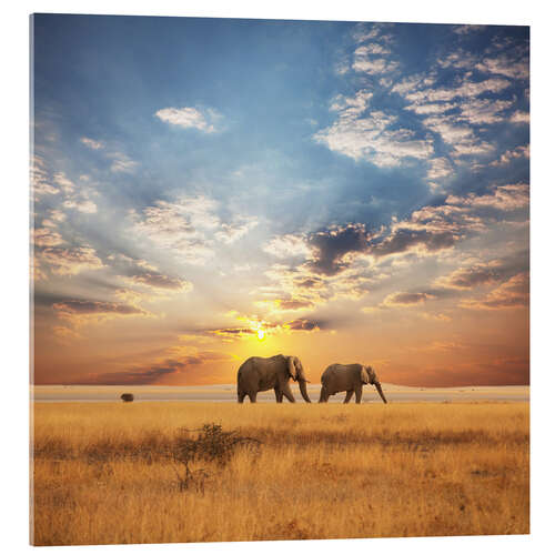 Acrylic print Elephants on Tour