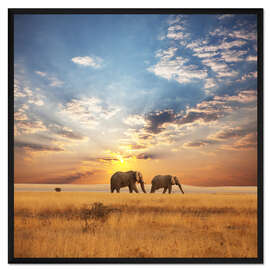 Gerahmter Kunstdruck Elefantenspaziergang